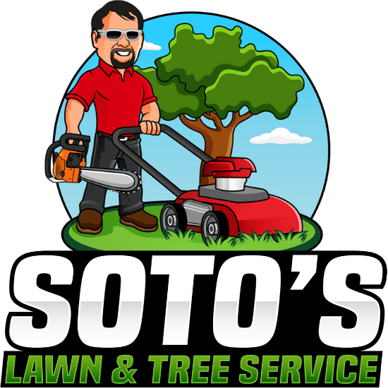 Soto's Lawn and Tree Service San Antonio