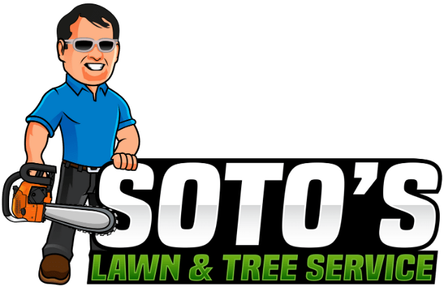 Soto's Local Landscaping Bexar County TX